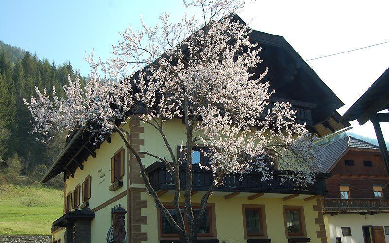 Apartament Haus Garz Weissensee Zewnętrze zdjęcie